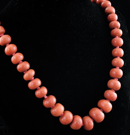 A single strand graduated coral bead necklace, 21.5in.